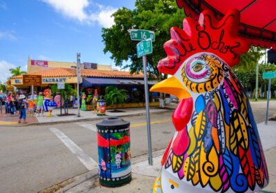 Miami cultural: museos y espacios de arte que sorprenden